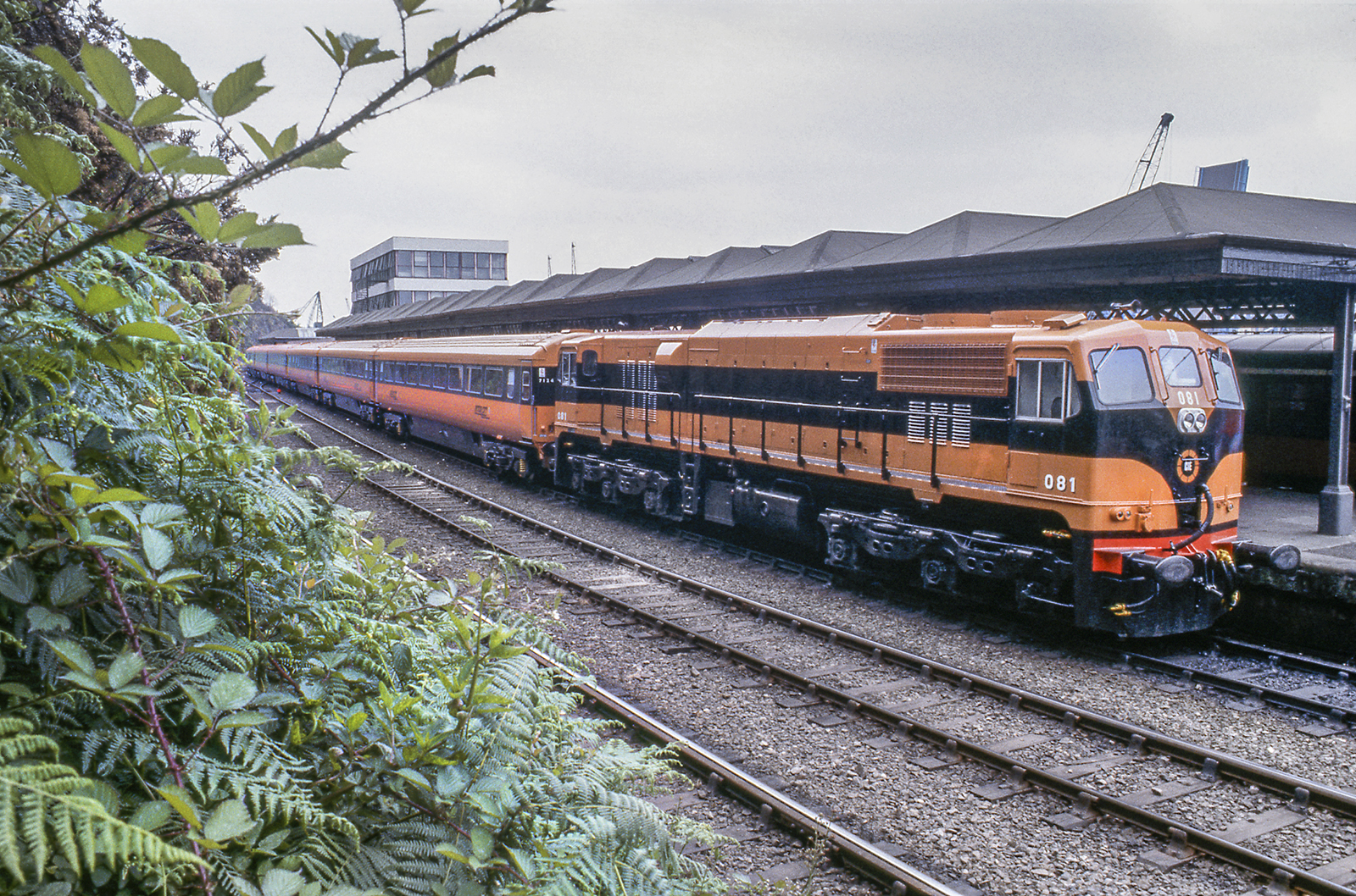 1984 New CIÉ Intercity Mk111 train
