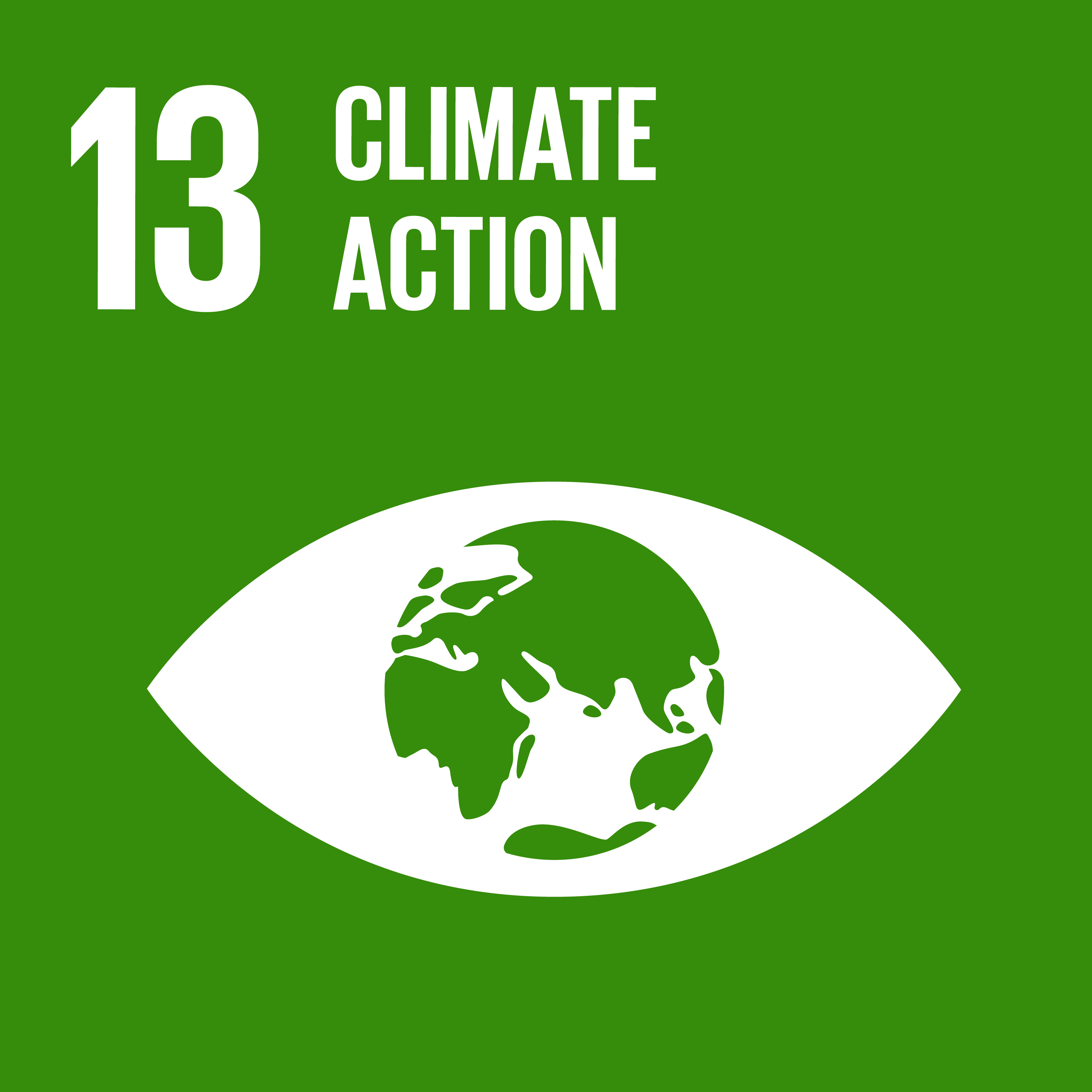 sdg icon 13